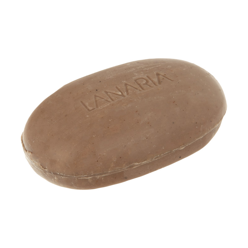 صابون مو 12 گیاه لاناریا مدل Coconut وزن 100 گرم_632721913e500.jpeg صابون مو 12 گیاه لاناریا مدل Coconut وزن 100 گرم