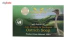 پک صابون و روغن ماساژ شتر مرغ والنسی مدل Ostrich Oil مقدار 300 گرم