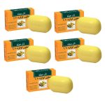 صابون گل سیتو مدل SULFIX وزن 100 گرم مجموعه 5 عددی