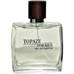 ادوپرفیوم مردانه پرفیوم د فرانس مدل Topaze حجم 100 میلی لیتر