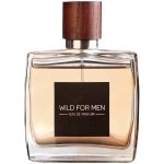 ادو پرفیوم مردانه استاویتا مدل Wild حجم 100 میلی لیتر