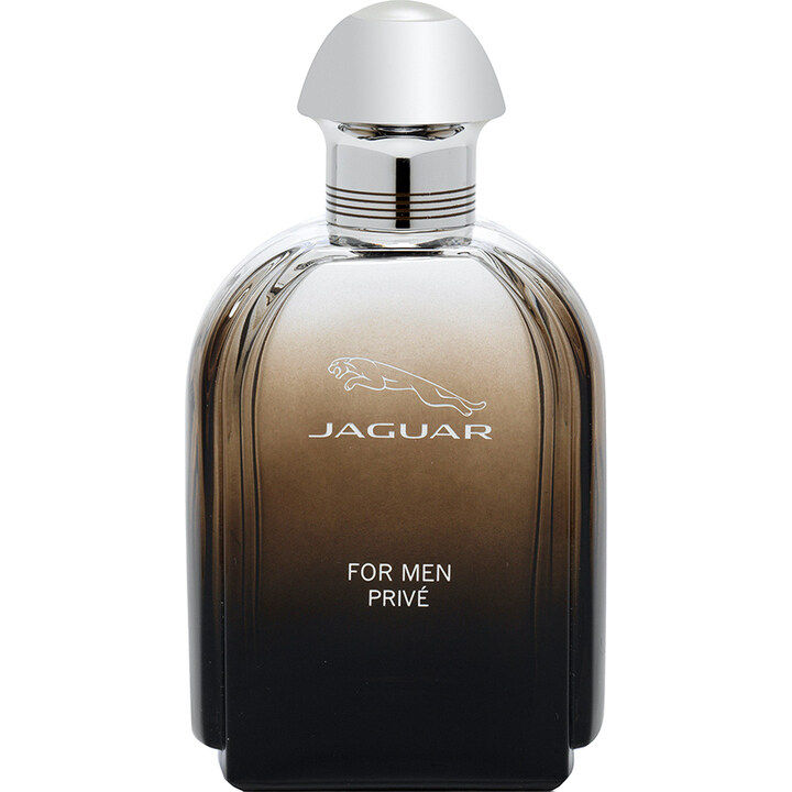 ادو تویلت مردانه جگوار مدل For Men Prive حجم 100 میلی لیتر_634cc96e8abd3.jpeg ادو تویلت مردانه جگوار مدل For Men Prive حجم 100 میلی لیتر