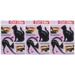 شابلون ابرو و خط چشم مدل Cat Line مجموعه 6 عددی