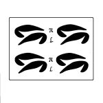 شابلون خط چشم مدل G1 مجموعه 4 عددی