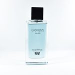 ادو پرفیوم مردانه گریس مدل SILVER FOR MEN حجم 100 میلی لیتر