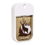 عطر جیبی مردانه پرفیوم آرا مدل WILD حجم 45 میلی لیتر
