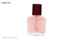 عطر جیبی مردانه نایس حجم 35 میلی لیتر بسته 3 عددی