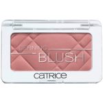 رژ گونه کاتریس مدل Defining 080