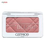 رژ گونه کاتریس مدل Defining 080