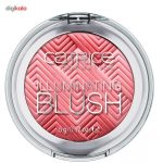 رژ گونه کاتریس مدل Illuminating 020
