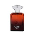 عطر جیبی مردانه برندینی مدل Lyric حجم 33 میلی لیتر