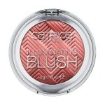 رژ گونه کاتریس مدل Illuminating 010
