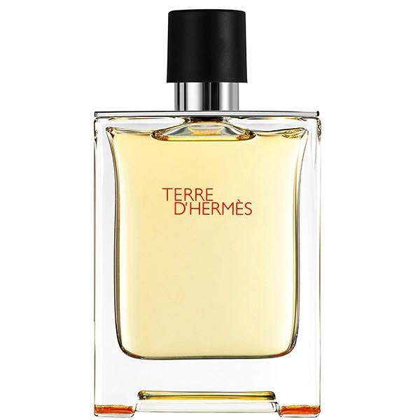 تستر ادو تویلت مردانه هرمس مدل Terre D’Hermes حجم 100 میلی لیتر_63799b3ab4d73.jpeg تستر ادو تویلت مردانه هرمس مدل Terre D’Hermes حجم 100 میلی لیتر
