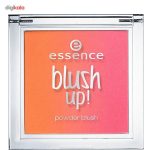 رژ گونه اسنس مدل Blush Up 10