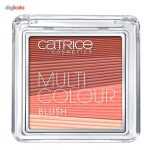 رژ گونه کاتریس مدل Multi Colour 080