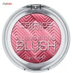 رژ گونه کاتریس مدل Illuminating 030