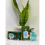 عطر جیبی مردانه اسمارت کالکشن مدل  هوگو بوس حجم 25 میلی لیتر مجموعه 2 عددی