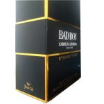 ادو تویلت مردانه پرنسس مدل BAD BOY حجم 100 میلی لیتر