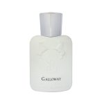 عطر جیبی برندینی مدل Galloway حجم 33 میلی لیتر