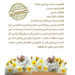 عطر جیبی طیبستان مدل روح القدس حجم 5 میلی لیتر
